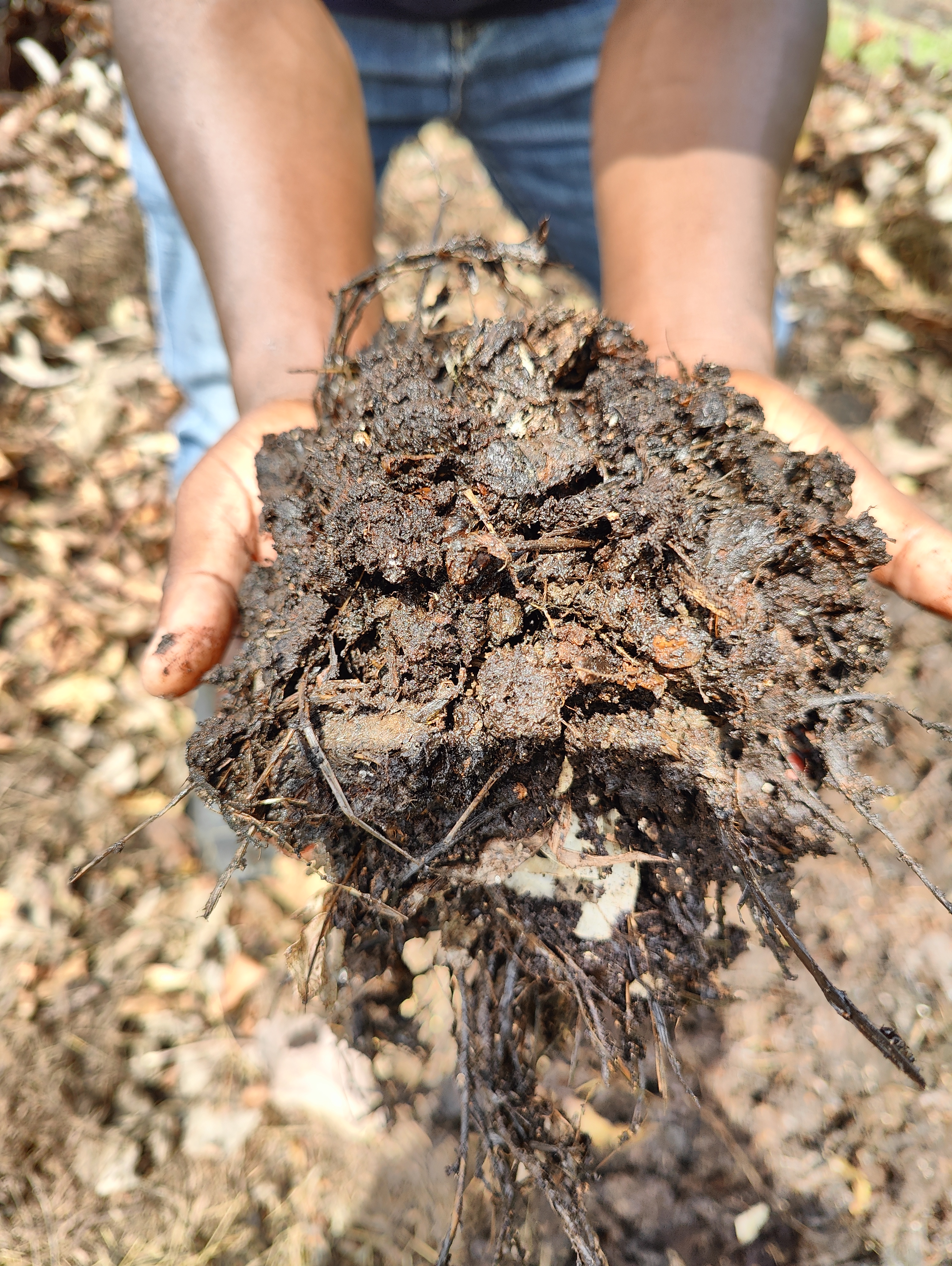 Rwanda Compost
