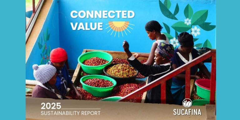 Sustainability Report 2025